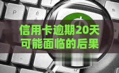 信用卡逾期20天可能面临的后果及如何应对起诉：全面解析与建议