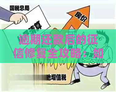 逾期还款后的修复全攻略：如何恢复信用、降低影响并避免再次逾期