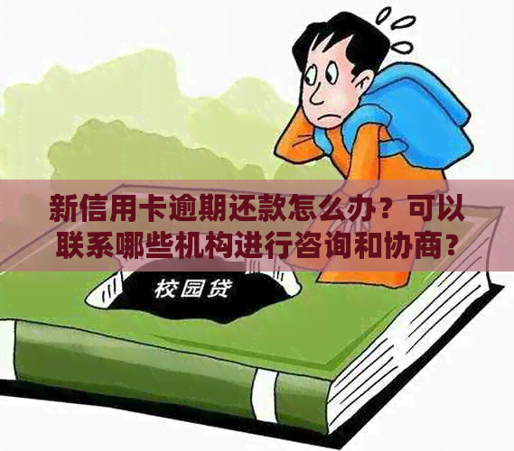 新信用卡逾期还款怎么办？可以联系哪些机构进行咨询和协商？