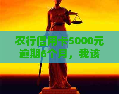 农行信用卡5000元逾期6个月，我该如何解决还款问题？