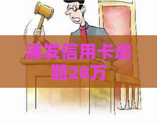 浦发信用卡逾期28万