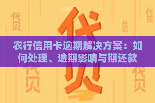 农行信用卡逾期解决方案：如何处理、逾期影响与期还款攻略一览