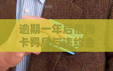 逾期一年后信用卡罚息与违约金的详细计算方法及如何避免信用损失