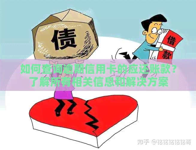 如何查询逾期信用卡的应还账款？了解所有相关信息和解决方案