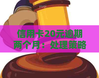 信用卡20元逾期两个月：处理策略与可能后果