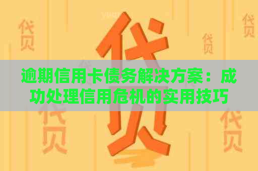 逾期信用卡债务解决方案：成功处理信用危机的实用技巧