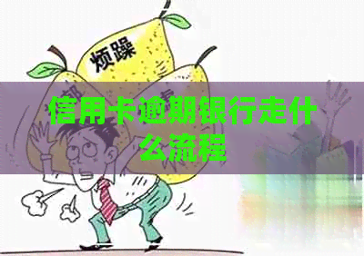 信用卡逾期银行走什么流程