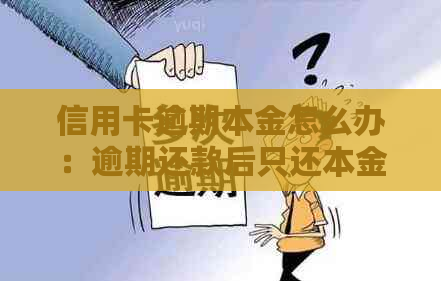 信用卡逾期本金怎么办：逾期还款后只还本金可以吗？如何计算逾期利息？