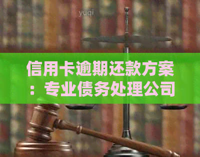 信用卡逾期还款方案：专业债务处理公司提供万元级分期选择