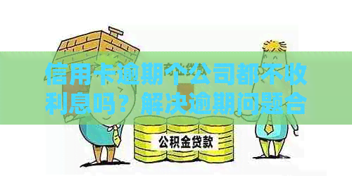 信用卡逾期个公司都不收利息吗？解决逾期问题合法公司推荐。