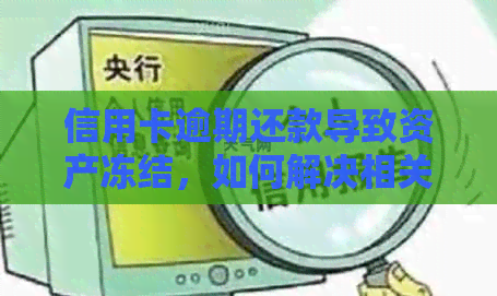 信用卡逾期还款导致资产冻结，如何解决相关问题并避免类似情况发生？