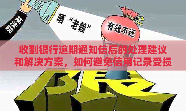 收到银行逾期通知信后的处理建议和解决方案，如何避免信用记录受损？