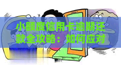 小额度信用卡逾期还款全攻略：如何应对、期操作和解决方法一文详解