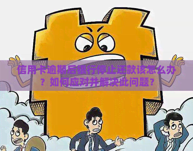 信用卡逾期后银行停止还款该怎么办？如何应对并解决此问题？