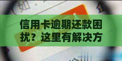 信用卡逾期还款困扰？这里有解决方案！