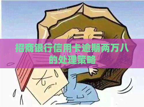 招商银行信用卡逾期两万八的处理策略