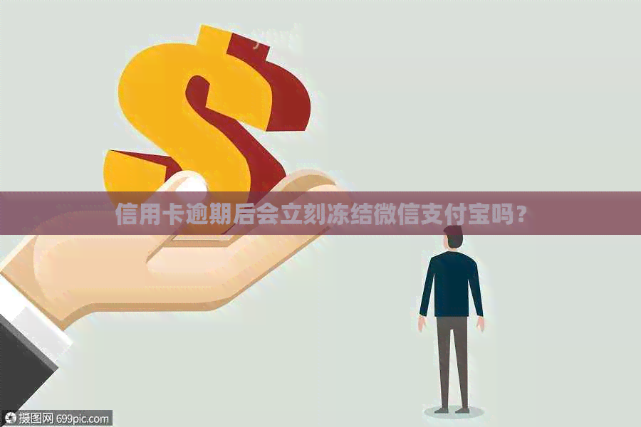 信用卡逾期后会立刻冻结微信支付宝吗？