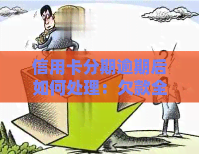 信用卡分期逾期后如何处理：欠款全面清偿方案解析