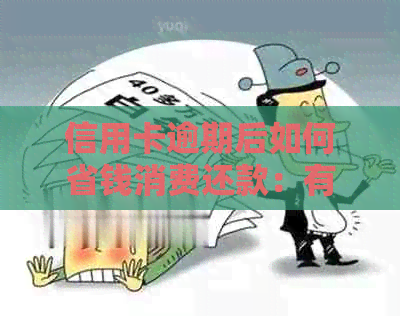 信用卡逾期后如何省钱消费还款：有效策略与实践