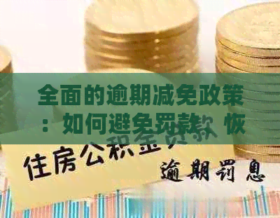 全面的逾期减免政策：如何避免罚款、恢复信用并确保平安