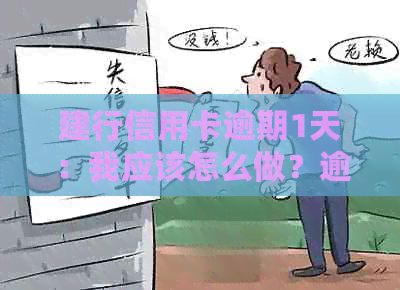 建行信用卡逾期1天：我应该怎么做？逾期后果有哪些？如何补救？