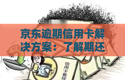 京东逾期信用卡解决方案：了解期还款、分期还款等可选方式