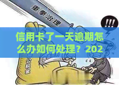 信用卡了一天逾期怎么办如何处理？2021年逾期一天的信用卡对策