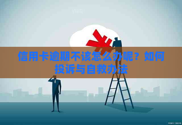 信用卡逾期不该怎么办呢？如何投诉与自救办法