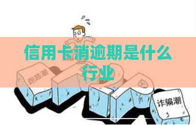 信用卡消逾期是什么行业