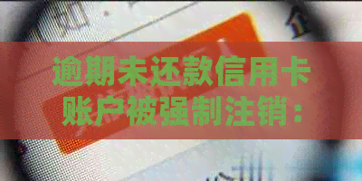 逾期未还款信用卡账户被强制注销：处理建议与后果解读