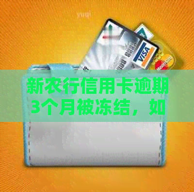 新农行信用卡逾期3个月被冻结，如何重新申请开通？