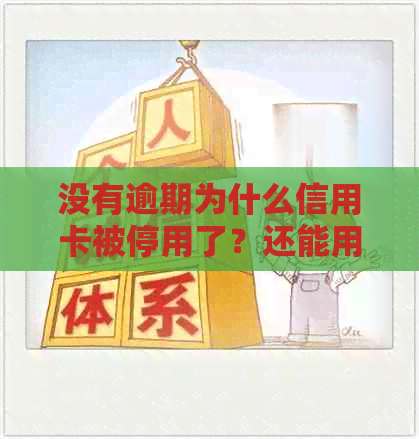 没有逾期为什么信用卡被停用了？还能用吗？没有逾期的信用卡被冻结怎么办？