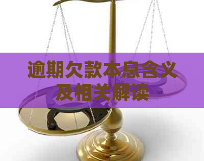 逾期欠款本息含义及相关解读