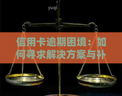 信用卡逾期困境：如何寻求解决方案与补救措？