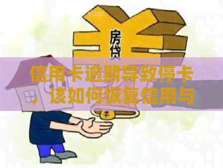 信用卡逾期导致停卡，该如何恢复信用与应对措