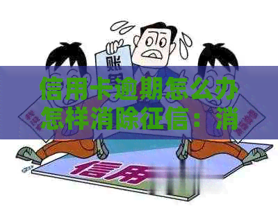 信用卡逾期怎么办怎样消除：消除信用卡逾期记录的有效方法