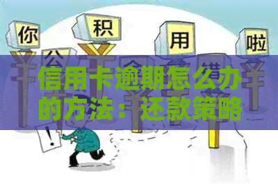 信用卡逾期怎么办的方法：还款策略与建议