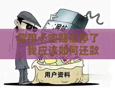 信用卡逾期被停了，我应该如何还款并恢复正常使用？