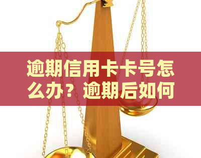 逾期信用卡卡号怎么办？逾期后如何恢复正常使用与解冻？