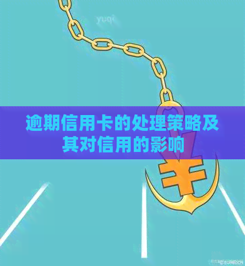 逾期信用卡的处理策略及其对信用的影响