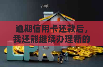 逾期信用卡还款后，我还能继续办理新的信用卡吗？解答各种可能性及相关建议