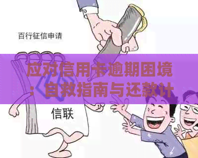 应对信用卡逾期困境：自救指南与还款计划详解