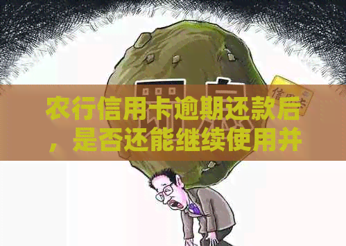 农行信用卡逾期还款后，是否还能继续使用并超限？如何解决这个问题？