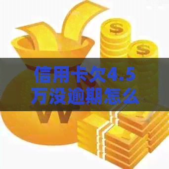 信用卡欠4.5万没逾期怎么办？如何办理？