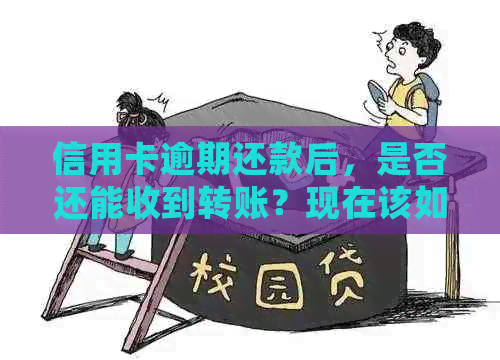 信用卡逾期还款后，是否还能收到转账？现在该如何处理？