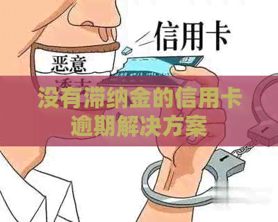 没有滞纳金的信用卡逾期解决方案