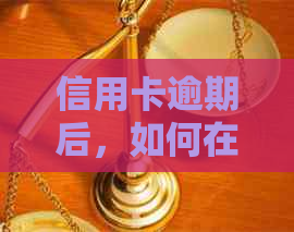 信用卡逾期后，如何在保证安全的前提下使用网吧上网？