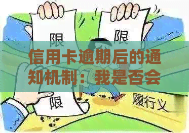 信用卡逾期后的通知机制：我是否会被及时告知？还会有哪些后续处理？