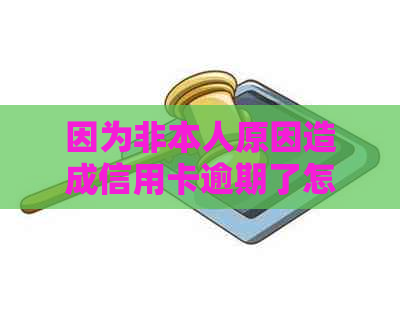 因为非本人原因造成信用卡逾期了怎么办-因为非本人原因造成信用卡逾期了怎么办理