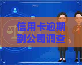 信用卡逾期到公司调查什么